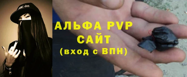 стаф Арсеньев