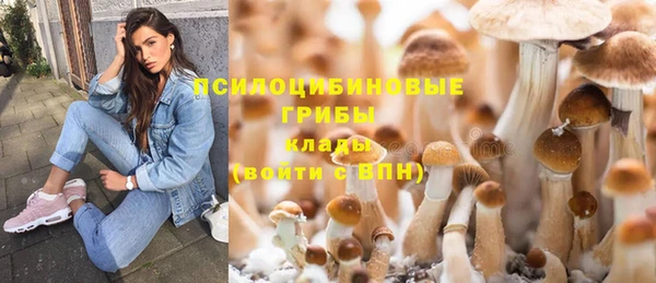прущие крисы Аркадак
