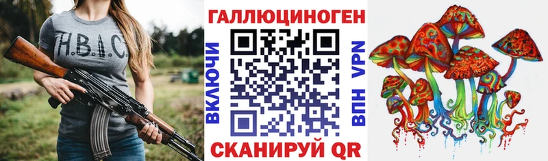 Псилоцибиновые грибы Psilocybine cubensis Рошаль